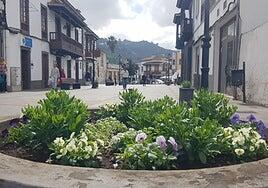 Teror repone unas 800 plantas de flor en jardineras y plazas
