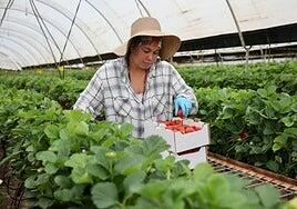 Canarias, una de las regiones donde más tendrán que pagar a Hacienda los perceptores del SMI