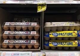 La crisis del huevo en EE UU aviva la tensión entre Donald Trump y la Reserva Federal