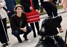 Los perros guía podrán acceder a cualquier espacio abierto al público en todo el país