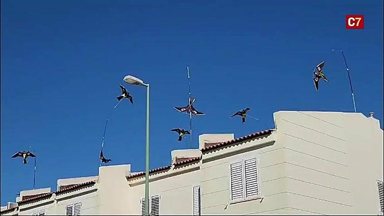 Cometas asustapalomas en El Tablero