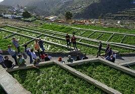 La Solana, el paraíso del berro