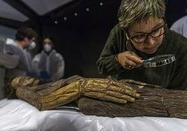 Un xaxo tan ejemplar como polémico