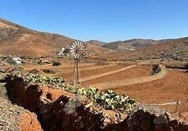Gavias de foto tras el paso de los tractores del Cabildo de Fuerteventura