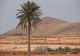 309 expedientes por infracciones contra el territorio en Fuerteventura en dos años «y nadie los va a parar»