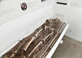 Los expertos discrepan sobre si se atenta o no contra la dignidad de los fallecidos al exhibirlos en museos