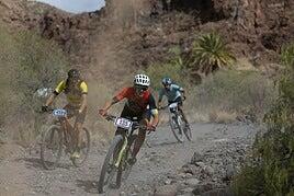 La Fred. Olsen Express Transgrancanaria Bike estrenará un nuevo maillot para líderes canarios