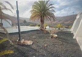 Haría mejorará el parque infantil de Tabayesco