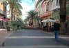 Cae una palmera en el paseo peatonal de Luis Morote