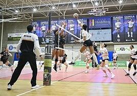 El Heidelberg conquista el Pablos Abril tras imponerse al Tenerife Libbys La Laguna (0-3)