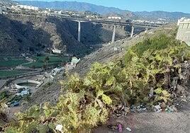 Camino olvidado que mira al Guiniguada