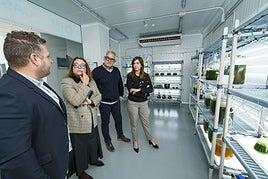 La Isleña producirá pasta con algas a través de un proyecto de innovación con el ITC