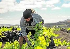 Nuevo tope en la Seguridad Social, con cerca de 77.000 afiliaciones