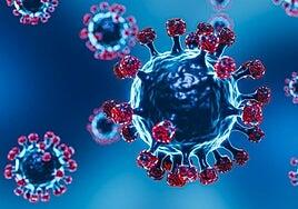 Cinco años después