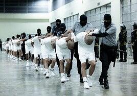 ¿Qué es el Tren de Aragua, la banda venezolana en el punto de mira de Trump?