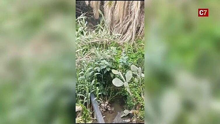 Vertido de aguas fecales en Firgas