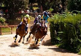 Las carreras de caballos vuelven este domingo a La Laguna de Valleseco
