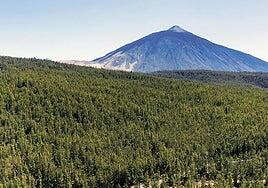 El viaje del agua desde la cumbre al manantial