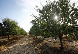 España precisa más inversión y coordinación política en gestión del agua