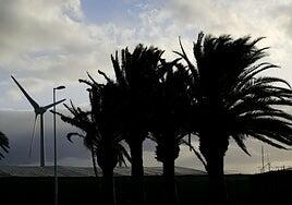 Canarias declara la prealerta por viento muy fuerte con rachas de hasta 80 kilómetros por hora