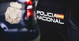 Detenida una mujer en Alicante por lanzar a sus dos perros desde un octavo piso porque no quería sacarlos a pasear