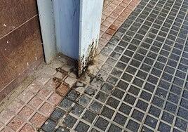 El PSOE exige más limpieza y control de excrementos y plagas en San Bartolomé de Tirajana