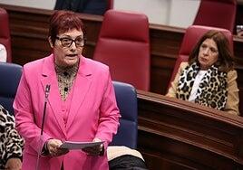 Cada centro de menores con medidas judiciales de Canarias es atendido por «una media de 70 vigilantes»