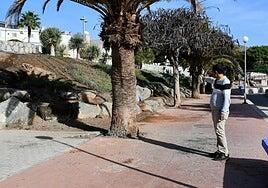 Vecinos de Pino Seco, en Mogán, recogen firmas contra el velatorio en la plaza