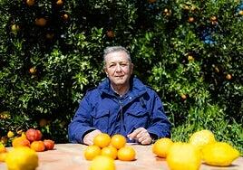 «Se traiciona la misión del museo cuando solo sirve al mercado»