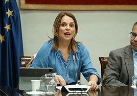 Santana alude a «mala praxis» y falta de control en el SCS frente a dinámica de chanchullo