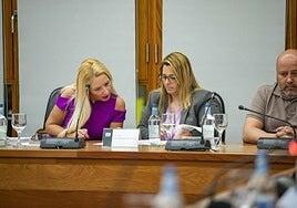 Ingenio aprueba una subida de sueldo de un 2% a la alcaldesa y ediles del gobierno