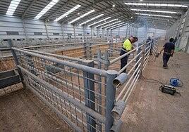 Feaga espera batir récord de asistencia en su 37ª edición