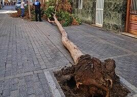 La borrasca Nuria deja cerca de 300 incidentes en Canarias