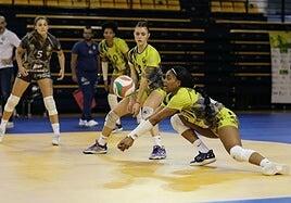 Bombazo: Sulián Matienzo jugará en el Heidelberg la próxima temporada