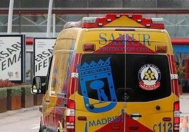Hospitalizado un niño tras morderle una serpiente en una fiesta infantil en Madrid