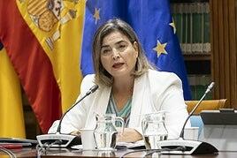 La administradora de RTVC cree que se asegura la pluralidad y el derecho a la información