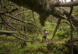 La esencia aún se mantiene
