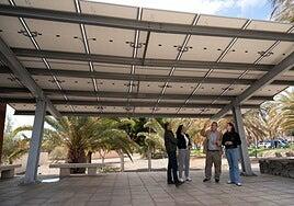 Paneles solares en la parada de guaguas de Gran Tarajal