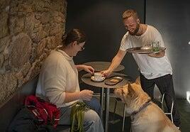 Con tu perro a tomar un solomillo o una pasta en La Mamma, en Corralejo