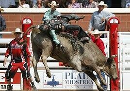 El rodeo de toros, un deporte de alto riesgo que cuesta la vida a un vaquero