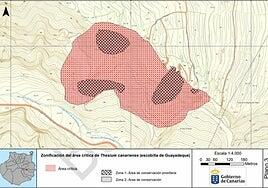 Al rescate de la escobilla de Guayadeque