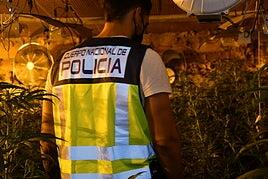 Detenidos 27 miembros de un clan familiar dedicado al tráfico de drogas en Madrid y Toledo