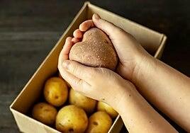 «Mándate una papa, pero que sea canaria»: así es la campaña del Gobierno canario para apoyar la producción local