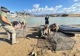 El Cabildo apuesta por la ciencia contra la tilapia de la Charca de Maspalomas