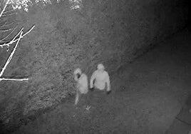 Quién está detrás de los 481 robos en viviendas de Valladolid en 2024