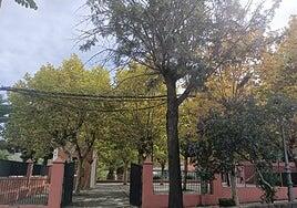 Santa Brígida celebra el Día del Libro con literatura, música y espectáculos en el Parque Municipal