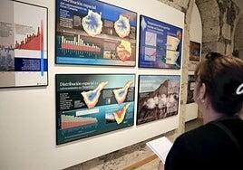 El impacto del cambio climático en Canarias: desde la desaparición de Lobos a la visita del tiburón ballena