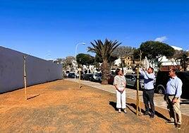 Plantación callejera en Arrecife de 50 árboles donados
