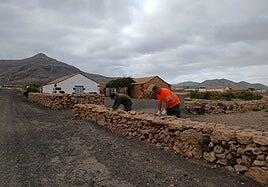 El Cabildo restaura 3.600 metros de muros de piedra en La Alcogida
