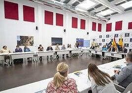 El Observatorio para la Accesibilidad de Gran Canaria crea una mesa sobre transporte interurbano